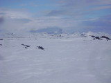 DSC06968.JPG