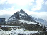 CIMG6560.JPG