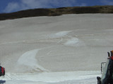 CIMG7179.JPG
