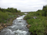 CIMG8560.JPG