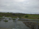 CIMG8571.JPG