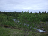 CIMG8573.JPG