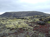 CIMG8835.JPG