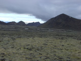 CIMG8838.JPG