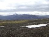 CIMG8874.JPG