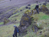 CIMG9463.JPG