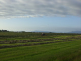 CIMG9983.JPG