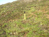 CIMG0428.JPG