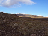 DSC00091.JPG