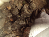 DSC05143.JPG