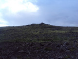 DSC05231.JPG