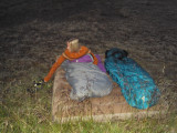 DSC05391.JPG