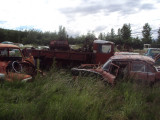 DSC05457.JPG