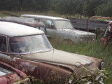DSC05458.JPG