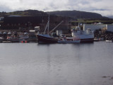 DSC05715.JPG