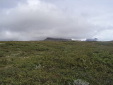 DSC05744.JPG