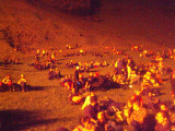 DSC05923.JPG