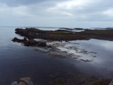 DSC06331.JPG