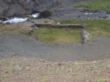 DSC06350.JPG