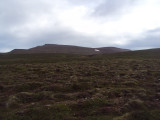 DSC06352.JPG