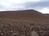 DSC06356.JPG