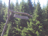 DSC06397.JPG
