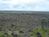 DSC08436.JPG