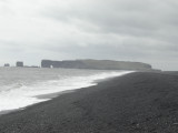 DSC08529.JPG