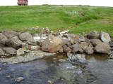 DSC00127.JPG