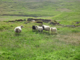 DSC00148.JPG