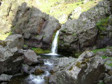 DSC00325.JPG