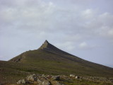 DSC00330.JPG