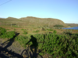 DSC01824.JPG