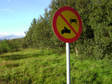 DSC01832.JPG