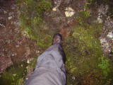 DSC01980.JPG