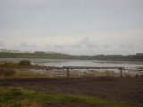 DSC02984.JPG