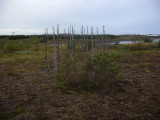 DSC02985.JPG