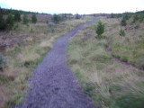 DSC02994.JPG