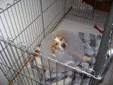 DSC05154.JPG
