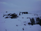 DSC05208.JPG