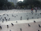 BCN 2006 376.jpg