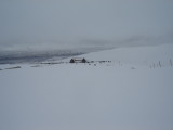 DSC05491.JPG