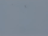 DSC05737.JPG
