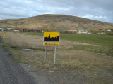 DSC06607.JPG