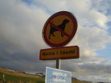DSC06654.JPG