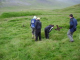 DSC01397.JPG