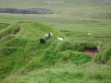 DSC01398.JPG