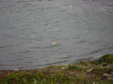DSC01419.JPG