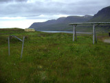 DSC01435.JPG