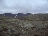DSC09290.JPG